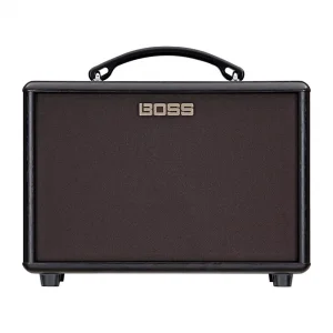 ROLAND AC-22LX Akustik Gitar Amfisi