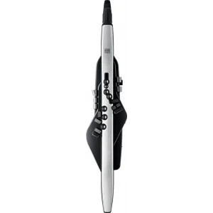 Roland AE-30 Aerophone Pro Dijital Nefesli Enstrüman