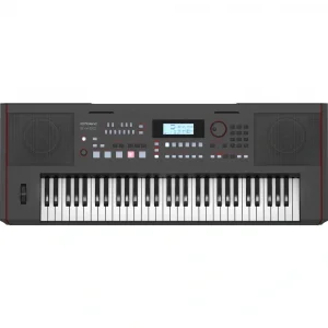 ROLAND E-X50 Tuş Hassasiyetli Ritimli Org Klavye