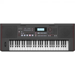 ROLAND E-X50 Tuş Hassasiyetli Ritimli Org Klavye