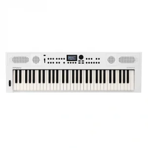 ROLAND GO:KEYS 5 61 Tuş Klavye - Beyaz