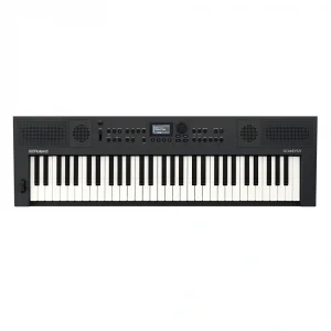 ROLAND GO:KEYS 5 61 Tuş Klavye - Grafit