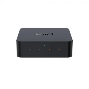 Wiim PRO PLUS Streamer