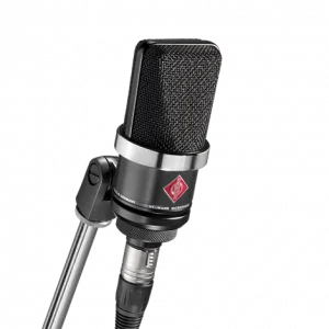 Neumann TLM 102 mt Geniş Diyafram Mikrofon