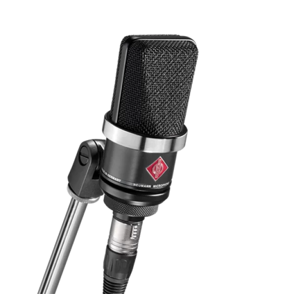 Neumann TLM 102 mt Geniş Diyafram Mikrofon