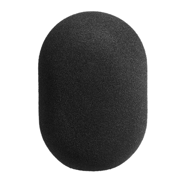 Neumann WS 89 Windscreen
