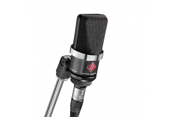 Neumann TLM 102 mt Geniş Diyafram Mikrofon