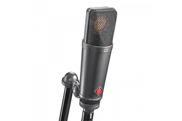 Neumann TLM 193 Geniş Diyafram Mikrofon