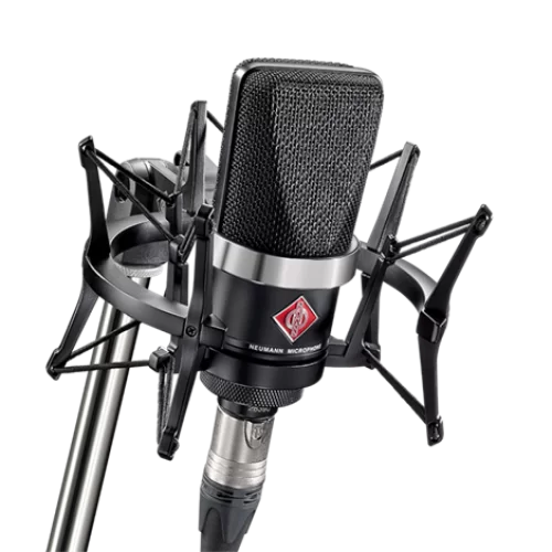 Neumann TLM 102 mt Studio Set Geniş Diyafram Mikrofon