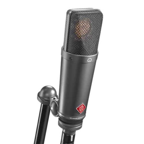 Neumann TLM 193 Geniş Diyafram Mikrofon