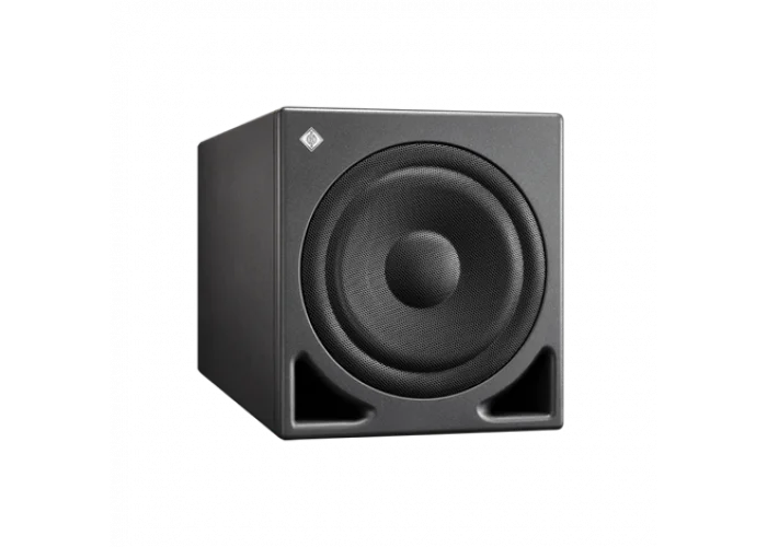 Neumann KH 810 G 10 Aktif Subwoofer