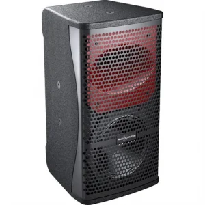 Audiocenter PF6+ MKII 2x6 Pasif Hoparlör