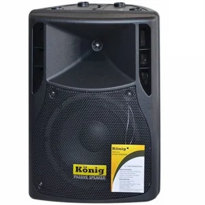 König K-1512 12  300W Pasif Kabin Hoparlör