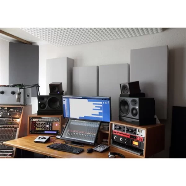 Neumann KH 310 A L G 8+3+1 Aktif Monitor