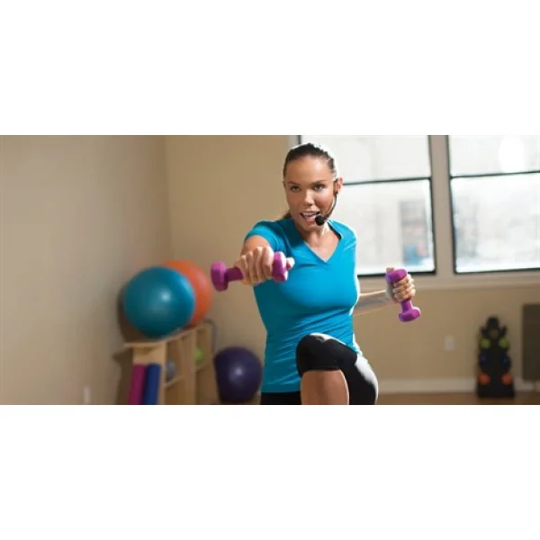 SHURE SM31FH-TQG Fitness Headset Condenser Mikrofon