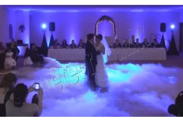 Antari ICE-101 Kuru Buz ile Çalışan yerde Kalan Sis Makinesi