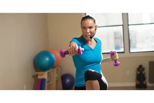 SHURE SM31FH-TQG Fitness Headset Condenser Mikrofon