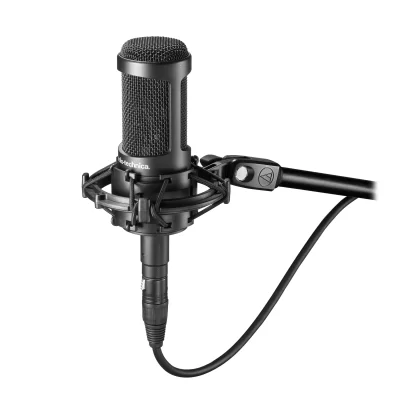 Audio Technica AT2050 Multi-Pattern Condenser Geniş Diyafram Mikrofon,