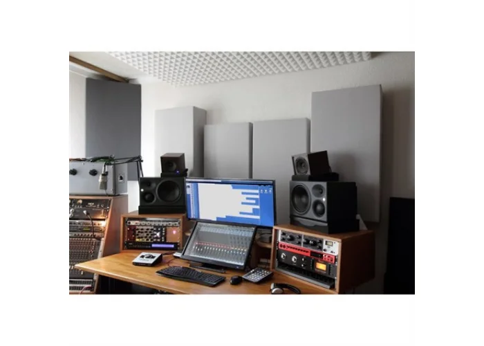 Neumann KH 310 A L G 8+3+1 Aktif Monitor