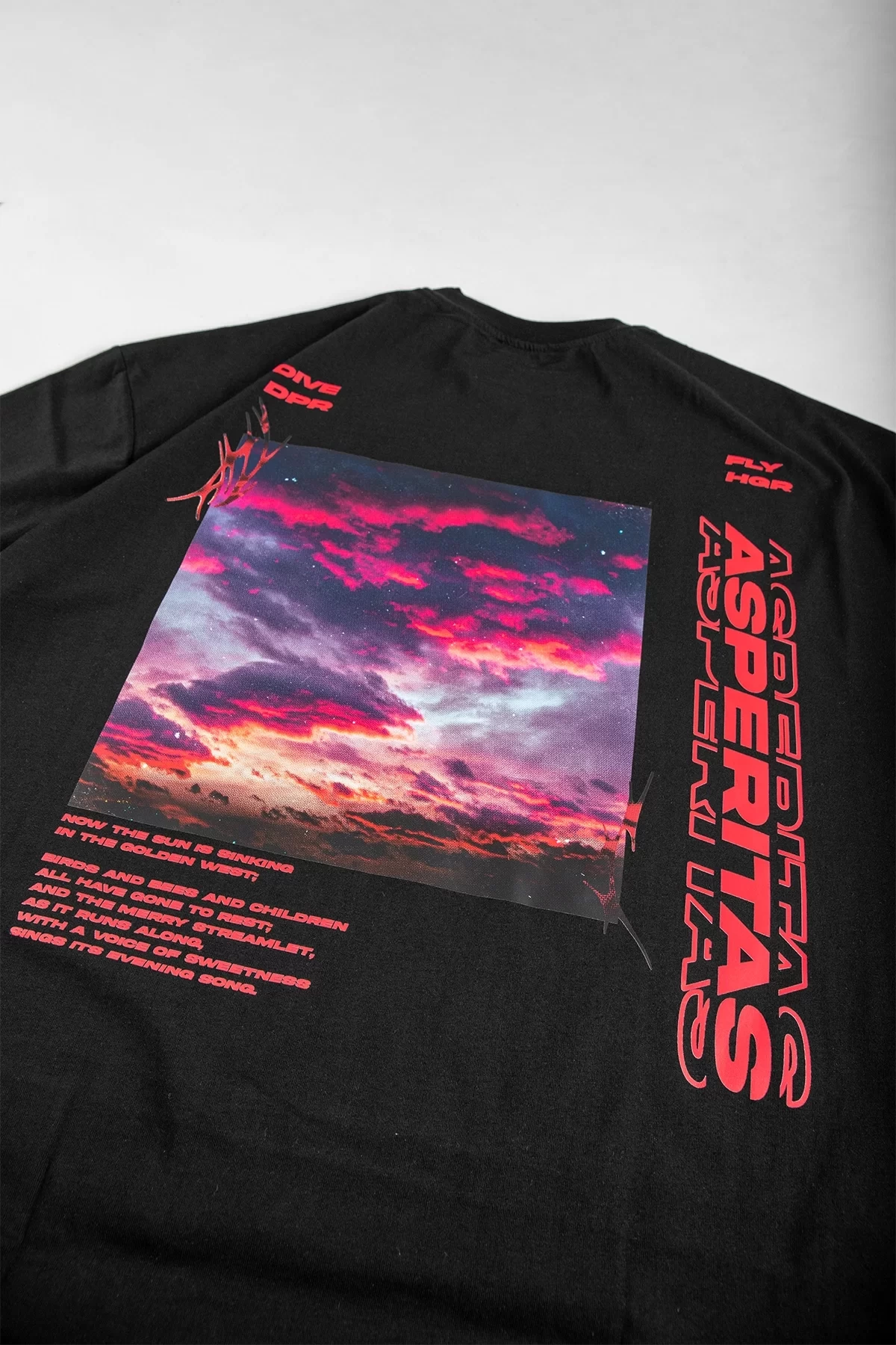 Asperitas Sırt Baskılı Siyah Oversize Unisex Tshirt