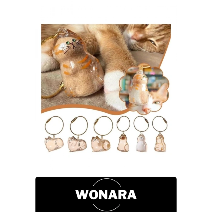 #AnıAnahtarlığı Kedi Tüyü Saklama Hazneli Şeffaf Figürlü Hatıra Anahtarlık İçi Boş Akrilik Evcil Hayvan Çanta Süsü Aksesuar Hediye Karışık Model 4-6 cm Metal Halkalı Sevimli Taşınabilir Armağan Öneri