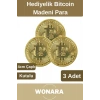 Özel Kutulu Altın Rengi Bitcoin Hatıra Parası Kripto Koleksiyonluk Hediyelik Madeni Para 3 Adet