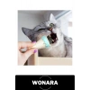 #KediNanesi Dondurma Şeklinde Catnip Topu Kedi Otu Çift Taraflı Bantlı Duvara Pencereye Yapışan Yavru Kedilere Uygun Sakinleştirici İştah Açıcı Evcil Hayvan Etkileşimli Oyuncağı Pp Malzemeli