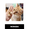 #AnıAnahtarlığı Kedi Tüyü Saklama Hazneli Şeffaf Figürlü Hatıra Anahtarlık İçi Boş Akrilik Evcil Hayvan Çanta Süsü Aksesuar Hediye Karışık Model 4-6 cm Metal Halkalı Sevimli Taşınabilir Armağan Öneri