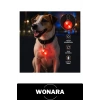 #TasmaIşığı Köpek Kedi Işıklı LED Güvenlik Aparatı Suya Dayanıklı Uzun Pil Ömürlü Kancalı Asma Aksesuarı Gece Yürüyüşü Yüksek Görünürlük Kamp Dış Mekan Evcil Hayvan Kolay Takılır Hafif Taşınabilir