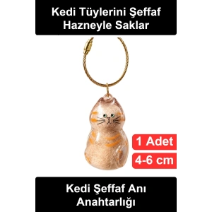 #AnıAnahtarlığı Kedi Tüyü Saklama Hazneli Şeffaf Figürlü Hatıra Anahtarlık İçi Boş Akrilik Evcil Hayvan Çanta Süsü Aksesuar Hediye Karışık Model 4-6 cm Metal Halkalı Sevimli Taşınabilir Armağan Öneri