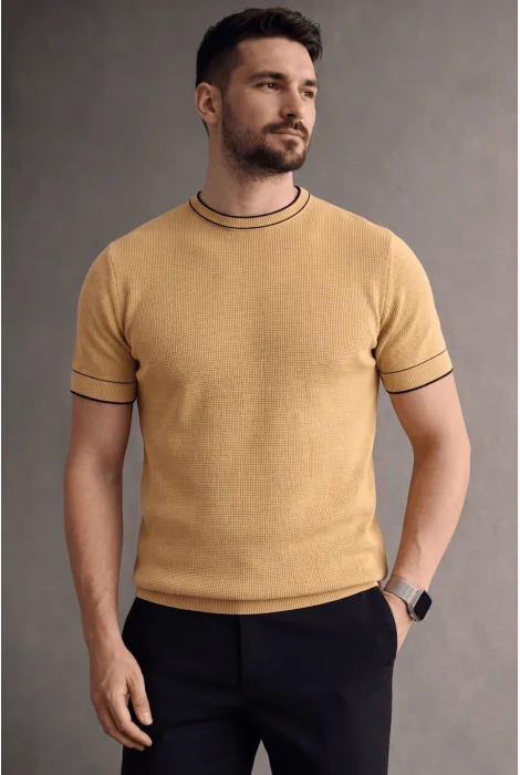 Erkek Bisiklet Yaka Çizgi Desenli Triko Tişört Sarı Cd170