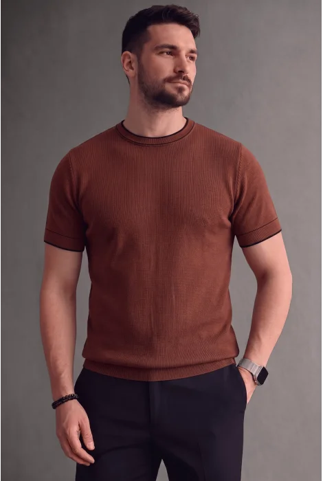 Erkek Bisiklet Yaka Çizgi Desenli Triko Tişört Kiremit Cd170