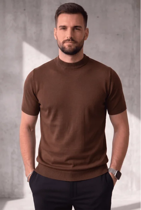 Erkek Düz Bisiklet Yaka Triko Tişört Kahverengi Cd169