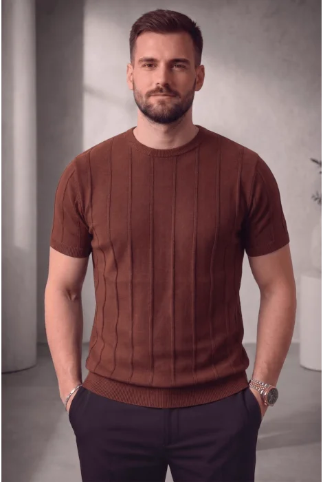 Erkek Bisiklet Yaka Triko Tişört Kiremit Cd114