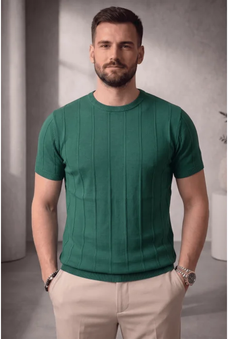 Erkek Bisiklet Yaka Triko Tişört Yeşil Cd114