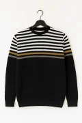 Erkek Bisiklet Yaka Slim Fit Kazak Siyah Cd120