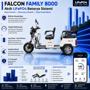 Falcon Family 8000 Uyumlu 72 Volt 30 Ah LiFePO4 Smart Batarya