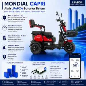 Mondial Capri Uyumlu 60 Volt 48 Ah LiFePO4 Smart Batarya