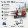 Mondial Ecco Small Uyumlu 72 Volt 30 Ah LiFePO4 Smart Batarya