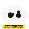 Astra Kabze Vidası Siyah - 2 Adet (Astra 300/400/600 Modelleri Uyumlu)
