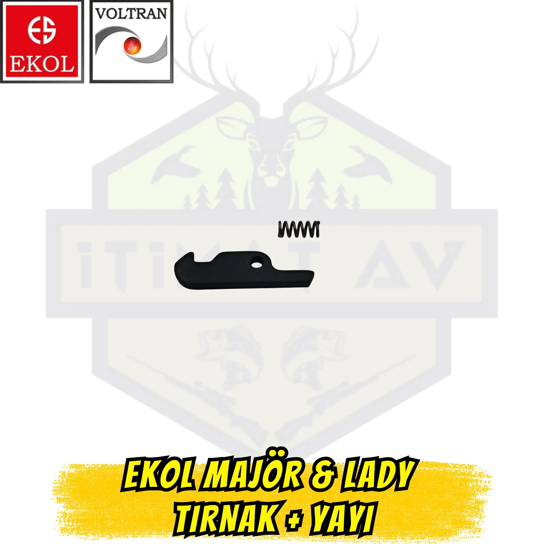 Ekol Majör & Lady Orijinal Tırnak ve Tırnak Yayı Seti - Tahliye Grubu