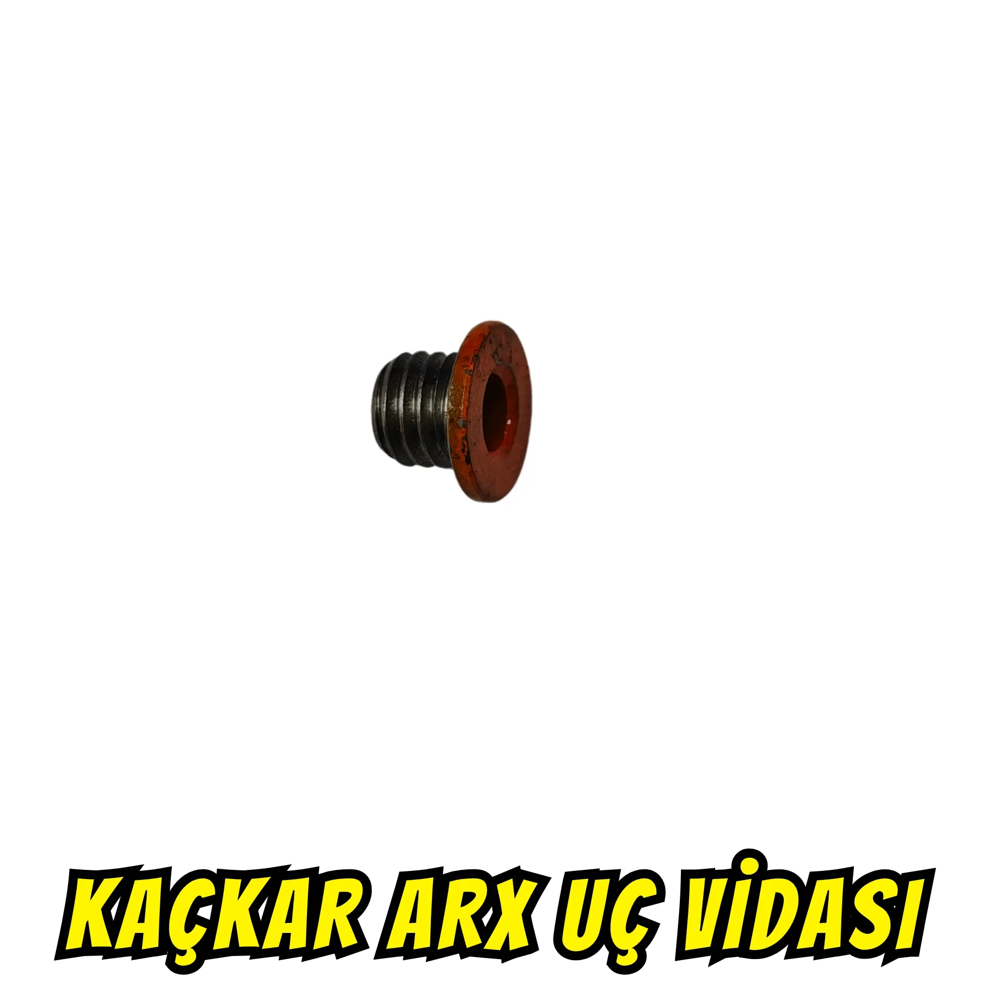 Kaçkar Arx uç vidası