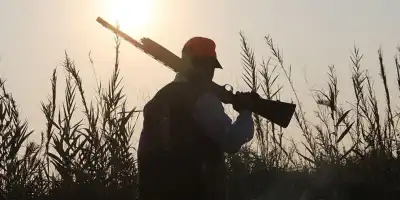 Avcılık: Doğanın Dengesi ve Sorumluluk