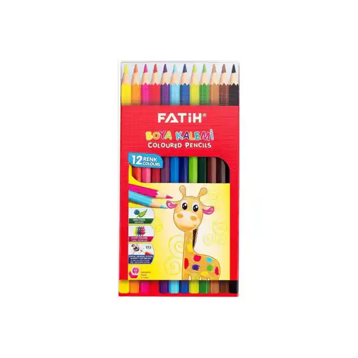 12li Tam Boya Kuru Boya Karton Kutu / 33112
