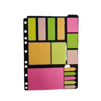 Paste Notes Post-it Seti (KLASÖRE TAKILABİLİR) Not Kağıdı Index