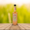 Jardın Mango Şurup 750 ML