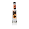 DaVinci Gourmet Acı Portakal (Bitter Orange) Şurubu 750 Ml