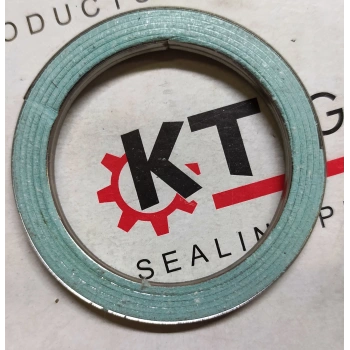 1.6 ENJ.EKSOZ BOĞAZ HAVŞA 40*54*5 (4AFE)