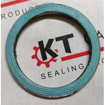 1.6 ENJ.EKSOZ BOĞAZ HAVŞA (44*57*5) (4AFE)