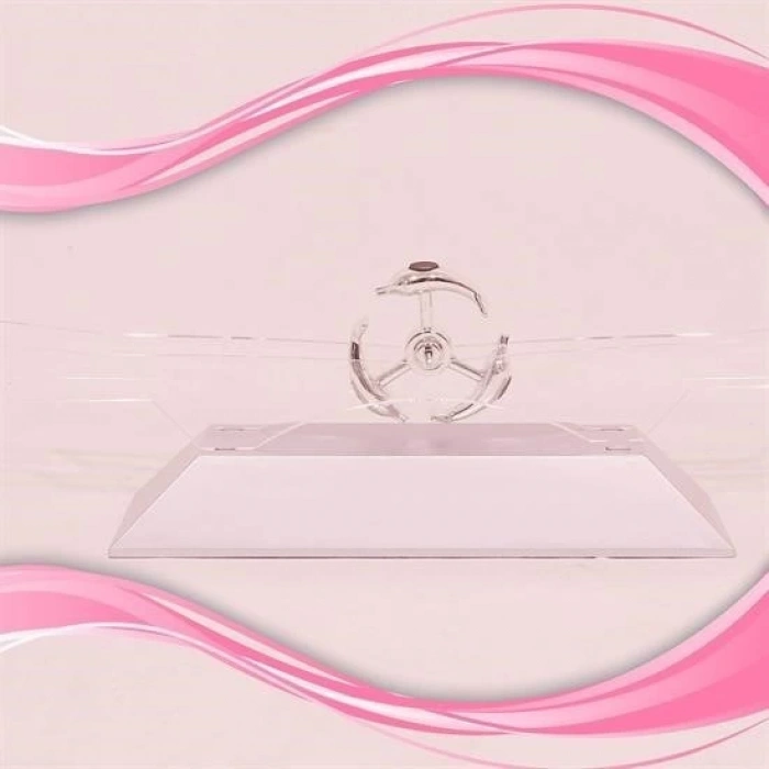 BUFFER® Dekoratif Masa Üstü Obje Manyetik Kinetik Orbital Dönen Yunuslar